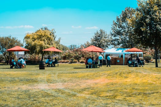 Community gatherings in San Francisco parks