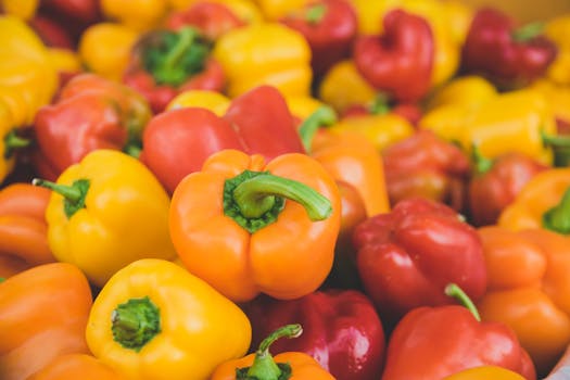 Vibrant farmers market showcasing fresh produce