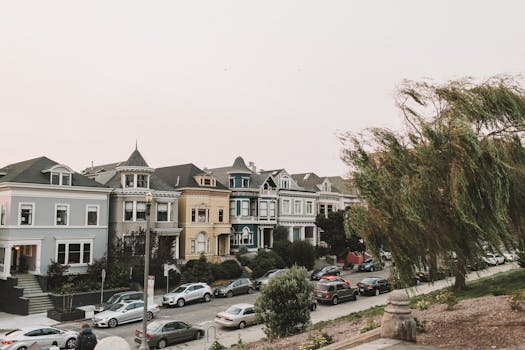 The Painted Ladies of San Francisco